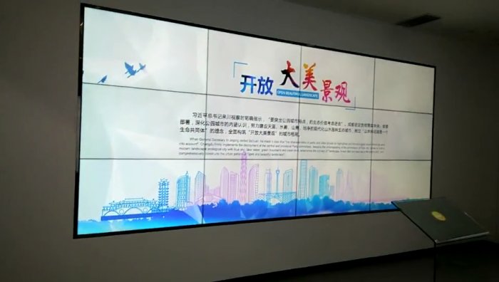 中国欧洲中心55寸液晶拼接屏项目